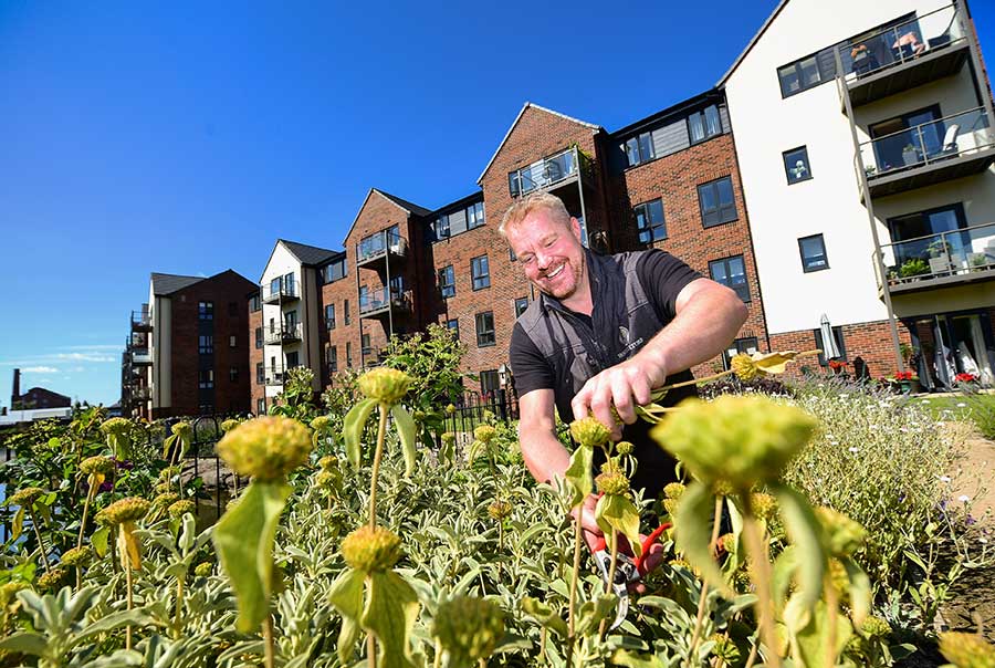 JK Horticulture on site at Adlington's The Bridges complex at Macclesfield